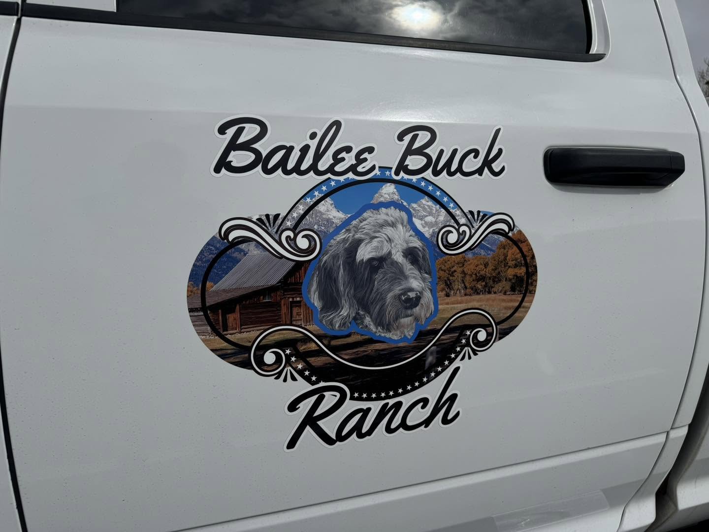 custom door graphics project by Project X Graphics